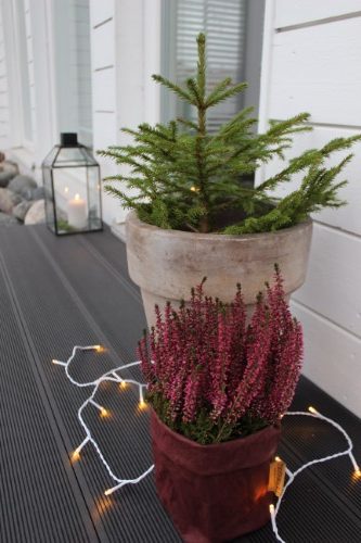 meilta-komposiittilauta-edulliseen-hintaan-www.patiokauppa.fi